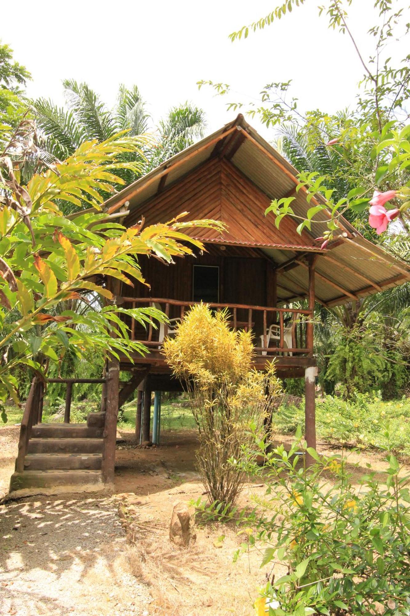 Khao Sok Palmview Resort Khao Sok National Park Pokoj fotografie